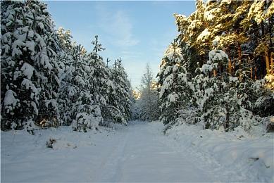 《怪物猎人：荒野》PS5版当前无性能模式 PS5 Pro版正在评估中